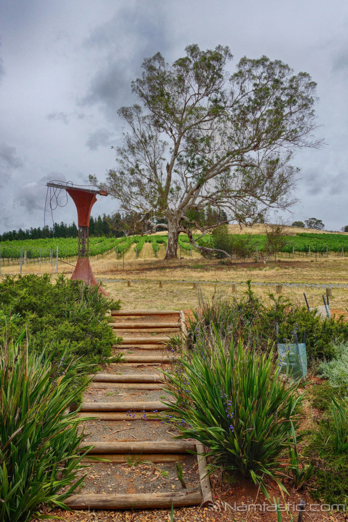 Mount Majura Wine Tasting DSC09488-HDR