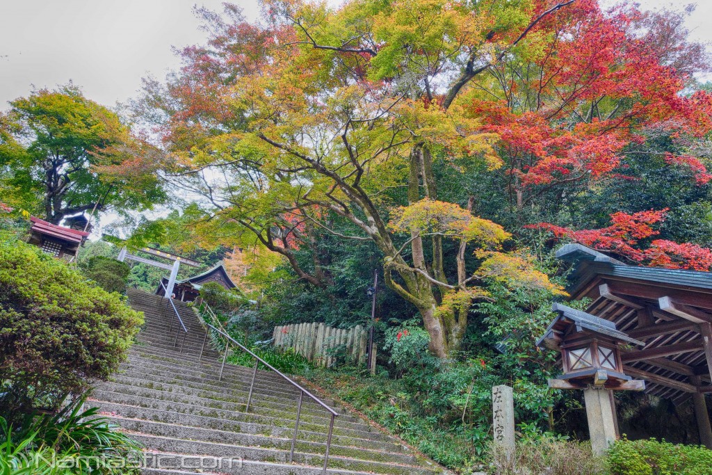 Photography Travel Kyoto Photowalk DSC07655-HDR